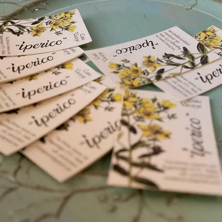 Casa Iperico 度假居 *